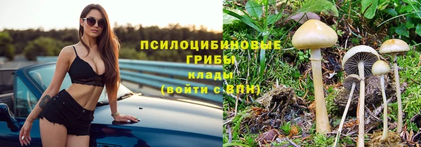 гидропоника Наволоки