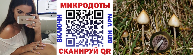 МЕГА ONION  Сафоново  дарк нет какой сайт  Галлюциногенные грибы мицелий 