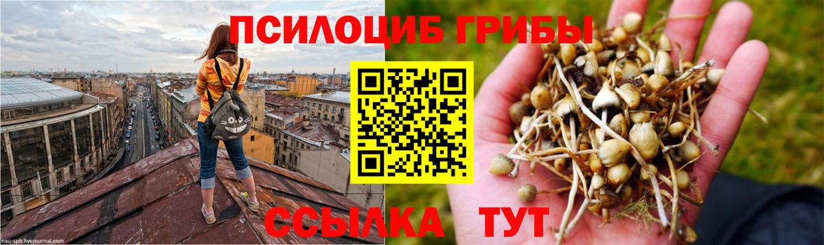 Галлюциногенные грибы Magic Shrooms Сафоново